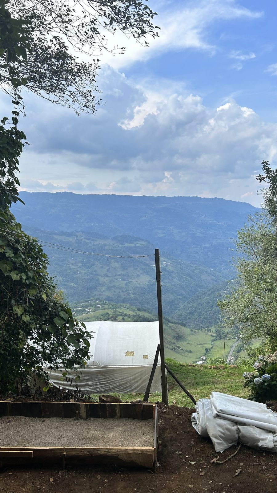 Beneficio — secado del café